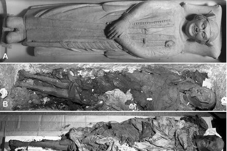 Researchers exhumed the mummy of Cangrande della Scala in 2004 to perform a modern autopsy on the famous Italian autocrat. 