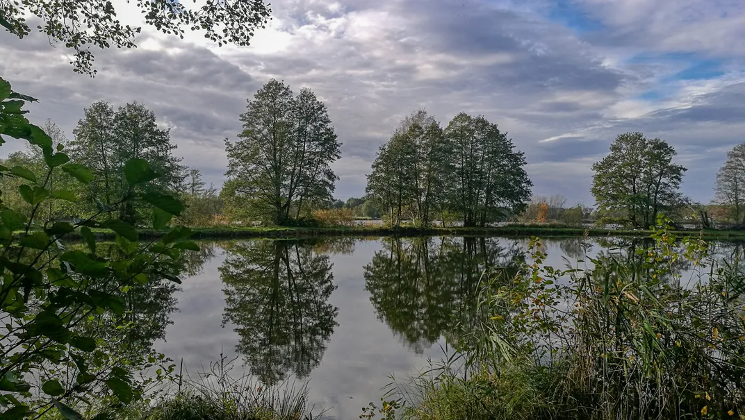 Reflections of trees in the water of a lake | Smithsonian Photo Contest ...