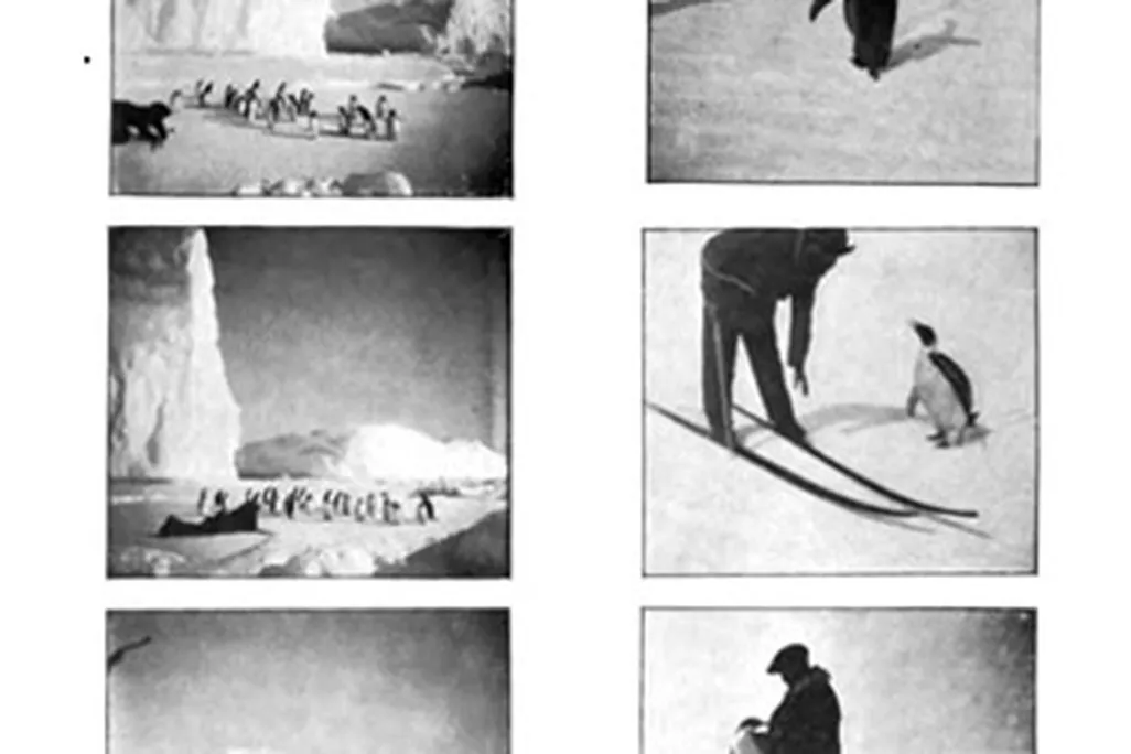 “Penguin Interviews,” via Frederick Cook’s Through the first Antarctic night, 1896-1899.