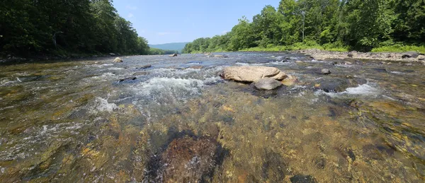 An Awesome Family Picnic Day in Dummerston, Vermont USA thumbnail