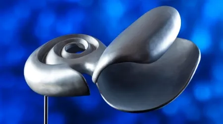 Oceanographer Gareth Lawson, who studies pteropods, was able to identify Kavanagh’s sculptures to species, such as this Limacina helicina.