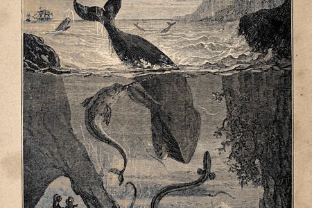 20,000 Leagues Under the Sea