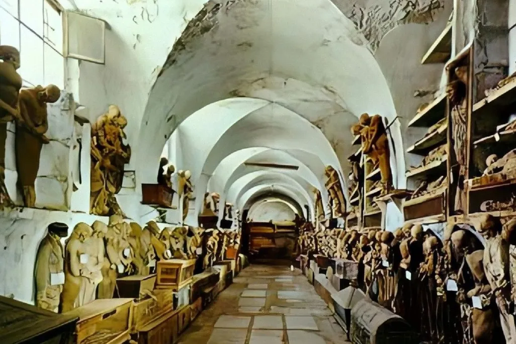 large room will the walls lined with preserved bodies