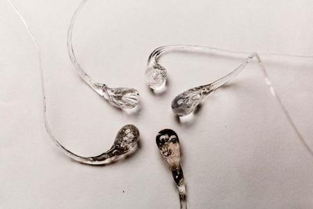 Prince Rupert's Drops