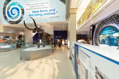 The nuance of the new exhibition, "Fossil Hall—Deep Time," plays out in elaborate art, entertaining digital displays and magnificent fossil displays. But don't miss the small stuff. 