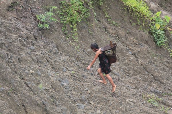 A tribe child Collecting food by climbing mountains thumbnail