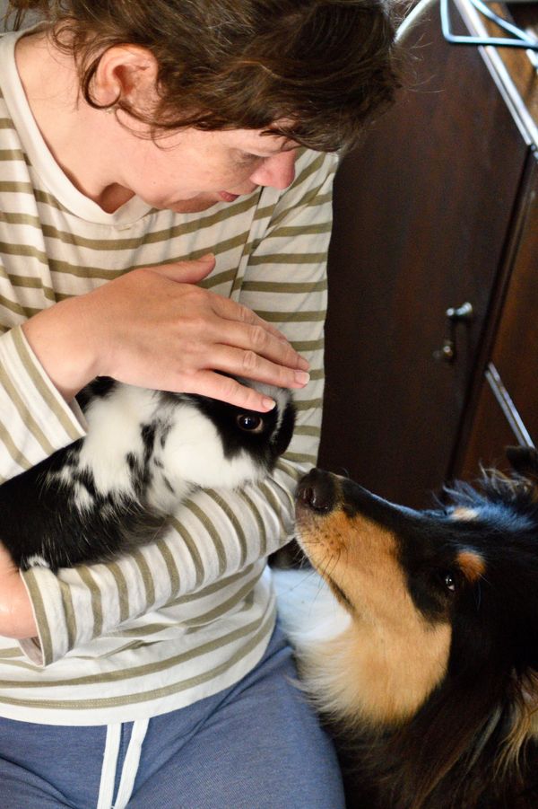 My Daughter with our Pets thumbnail