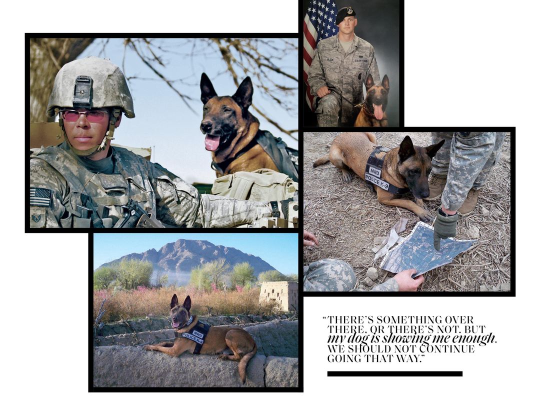 Dyngo working as a war dog collage with pullquote