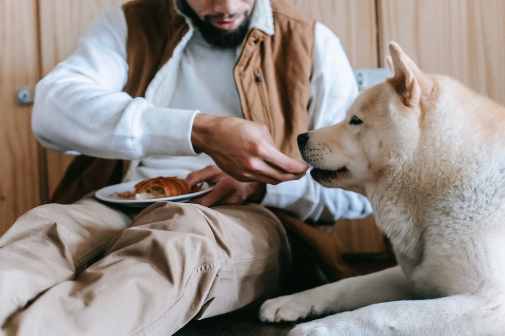 Man feeding his dog a bit of something while holding a plate