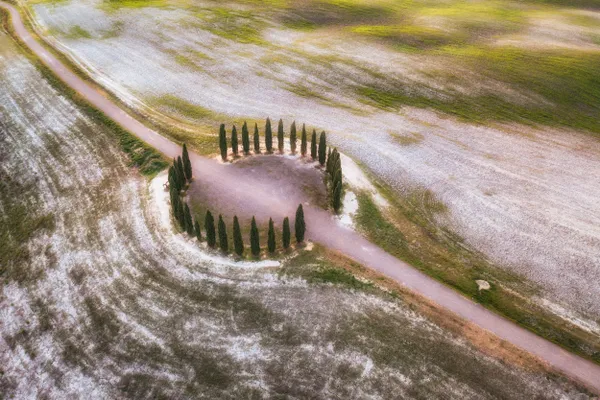 The cypress trees of Val d'Orcia thumbnail