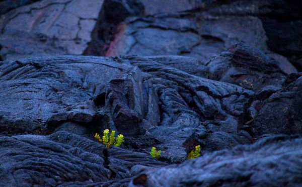 The Art of Beginning Again thumbnail