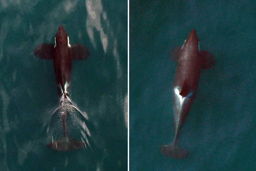nrkw_from_above02.jpg