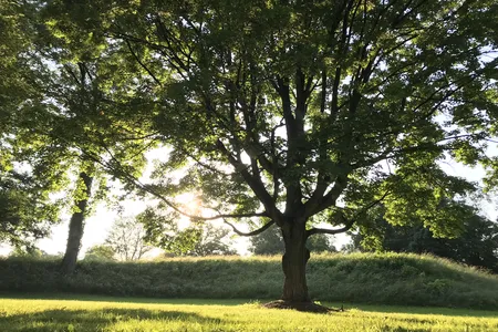 The Newark Earthworks in Ohio consist of three sections of preserved earthworks: the Great Circle Earthworks, the Octagon Earthworks and the Wright Earthworks.