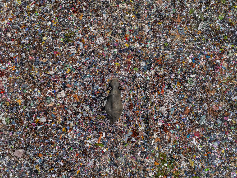 Surrounded by Our Waste | Smithsonian Photo Contest | Smithsonian Magazine