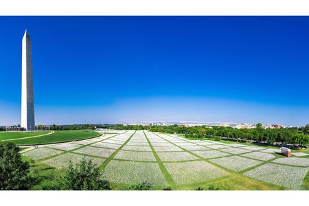 An aerial view of the &quot;In America: Remember&quot; installation on the National Mall, which commemorates the nearly 700,000 Americans who&#39;ve lost their lives to Covid-19.