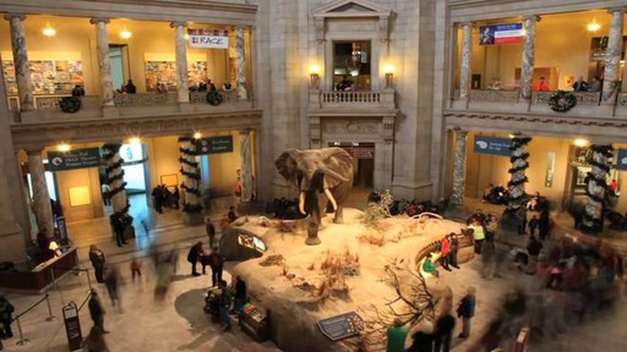 Preview thumbnail for Introducing Ask Smithsonian