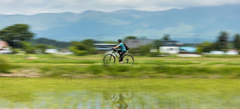  Bicycling along rice paddies 