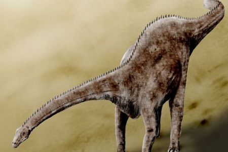 Many artists work hard to bring dinosaurs to life with accurate details, but often products can be out dated or be careless with details like how Diplodocus held their necks.
