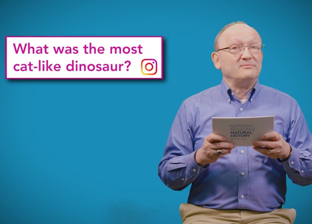 Smithsonian paleontologist, Hans Sues, answers your questions in the National Museum of Natural History’s Deep Time YouTube series, “The Doctor Is In.” (Smithsonian Institution)   