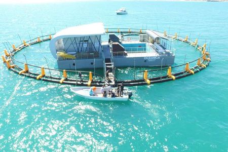 Floating sea pen designed to hold captured vaquitas