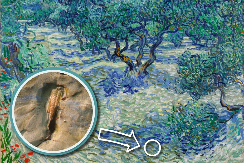 Grasshopper superimposed over van Gogh's "Olive Trees"