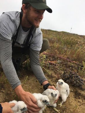 Austin, a biologist, works with endangered birds