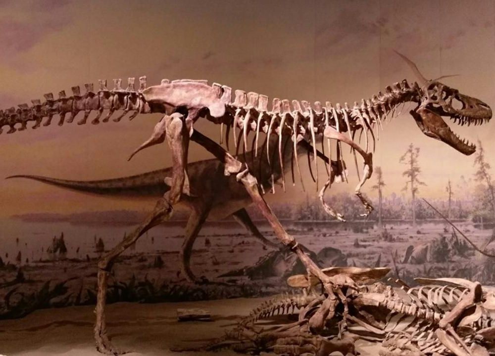 New Dinosaur Species Could Explain Tyrannosaurus Rex Evolution