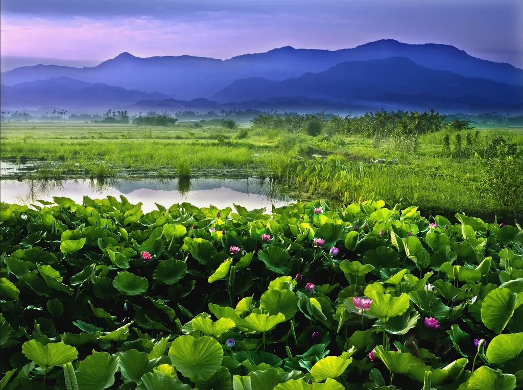taiwan eco tourism