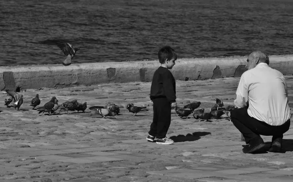 Seaside Generations thumbnail