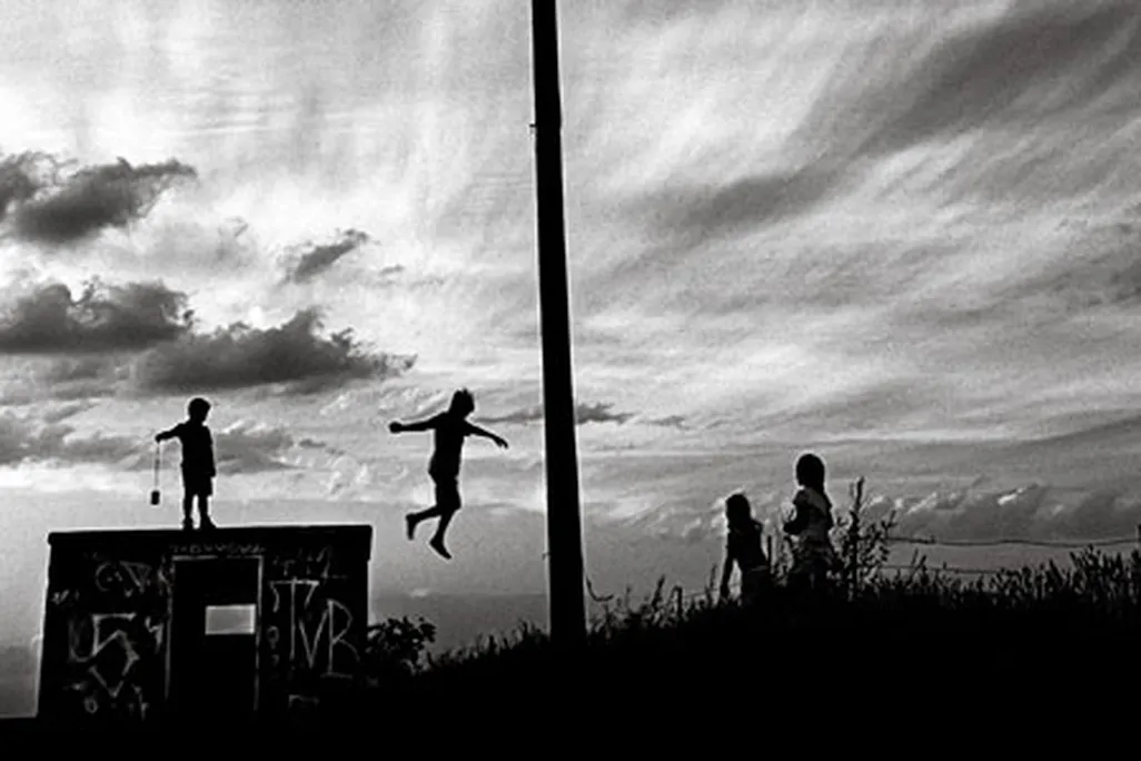 Free Fall Emily Schiffer