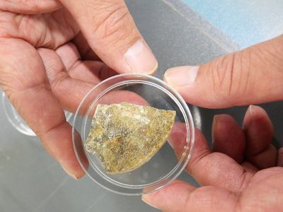 A rock samples collected during a 2010 drilling expedition in the South Pacific that found microbes in the sea floor.