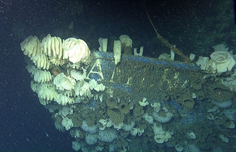 ah-wreck-bow-d1084-500.jpg