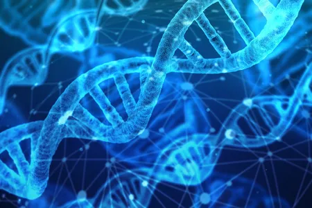 Natural selection has been playing a bigger role in changing modern human DNA than previously thought, according to a new study.