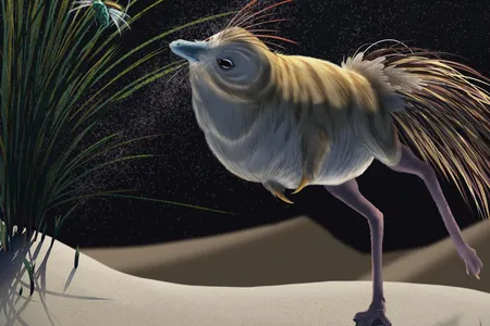 An illustration of Shuvuuia deserti shows the long-legged dinosaur hunting an insect at night.