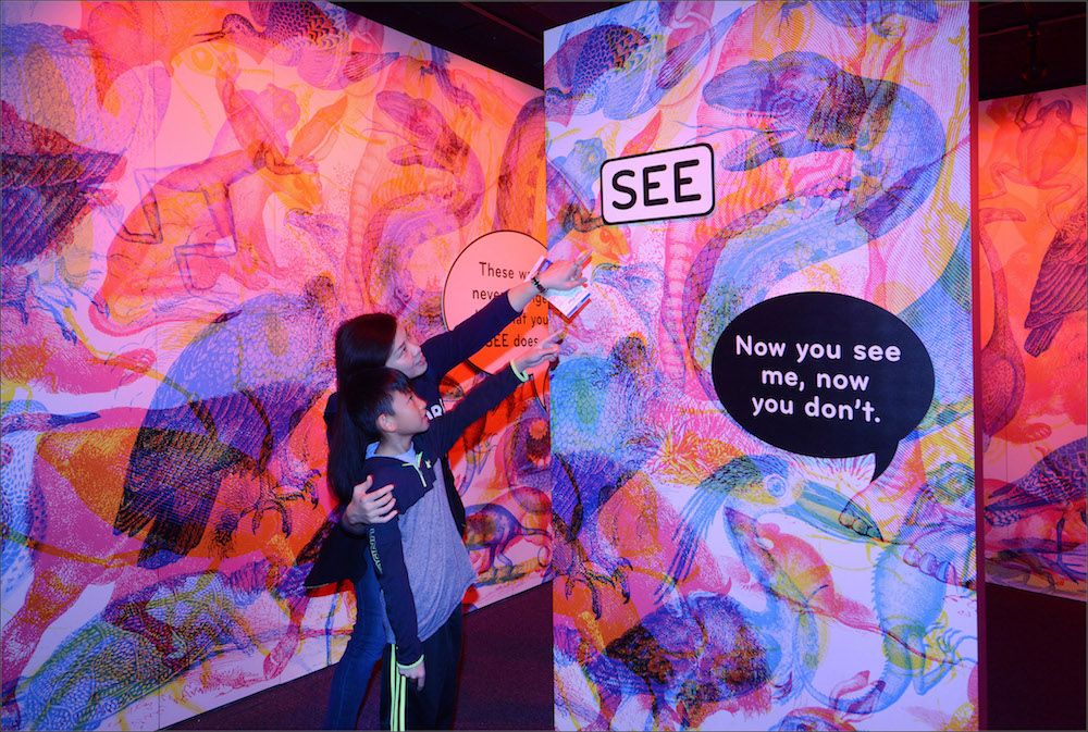 Seeing