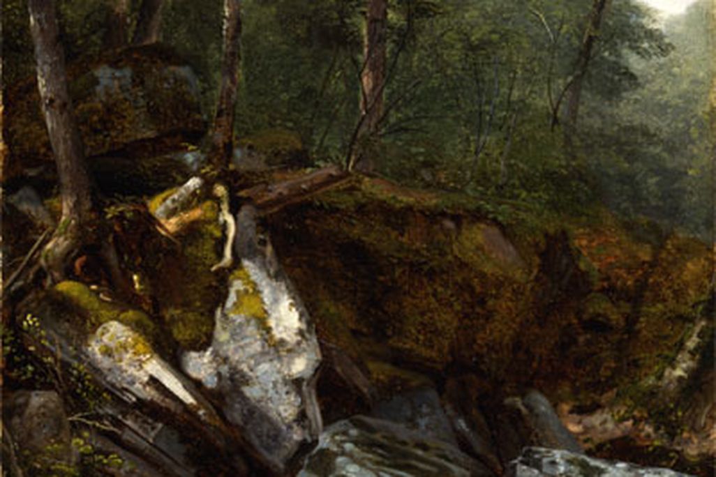 study-from-nature.jpg
