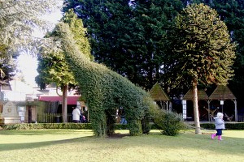 20110520083212brachiosaurid-topiary-300x225.jpg