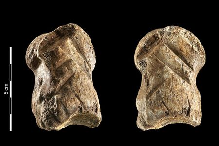 The bone carving shows a deliberate pattern.