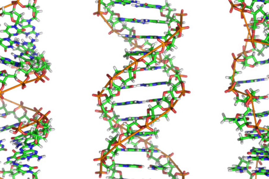 DNA-hero-631.jpg