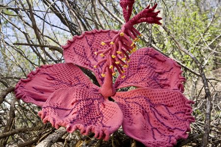 Anatomically Correct Hibiscus; yarn; 2005; 45" x 45" x 32"
