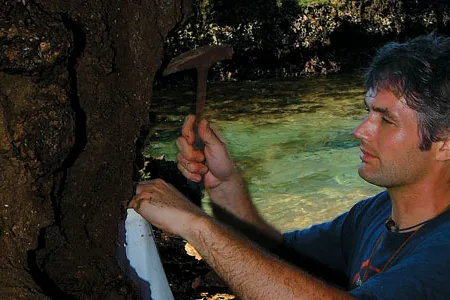 “It’s not unfair to say that we have been completely misled” by studying mostly museum-quality specimens, says O’Dea (gathering fossils in Bocas del Toro along Panama’s Caribbean coast).