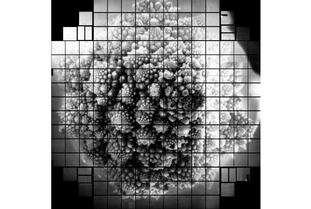 Scientists Tested Out the World's Largest Digital Camera on a Piece of  Broccoli | Smart News| Smithsonian Magazine