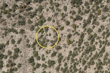 Would you have spotted it? The writer and the CAP officers with him on his search flight kept missing this old aircraft wreck, one of six uncovered in the course of the Fossett search. The Nevada landscape is cruelly good at concealing wrecks.