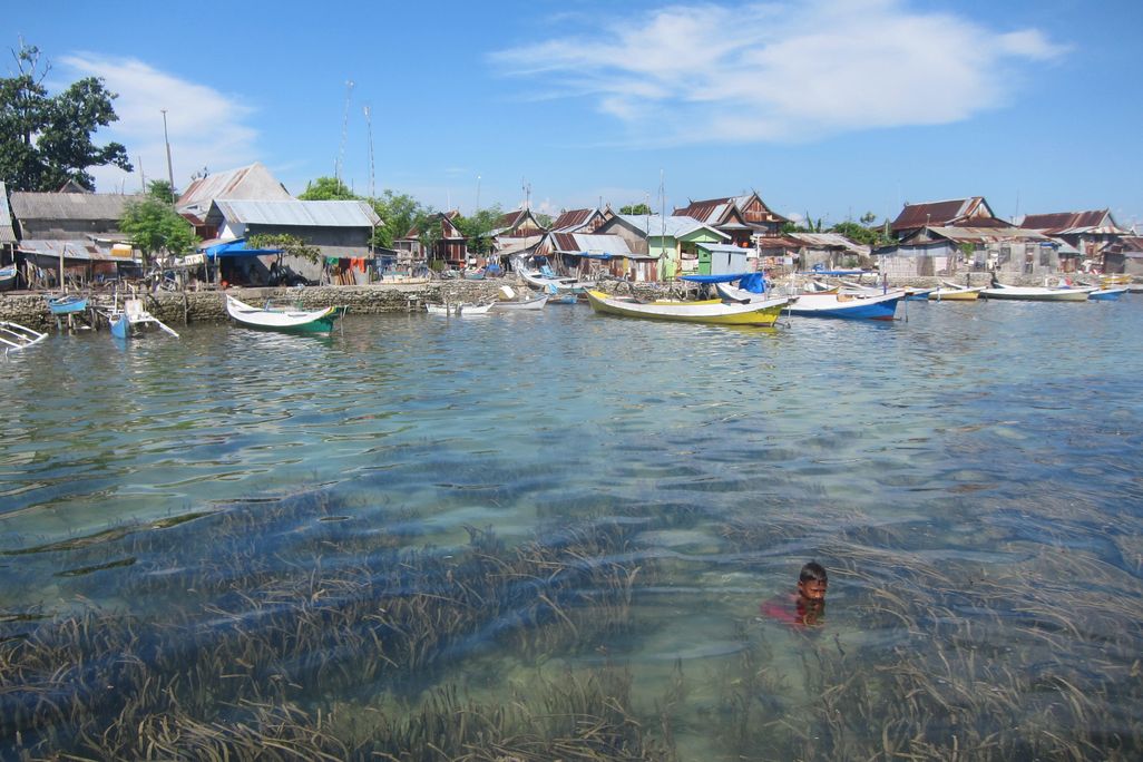 Seagrass