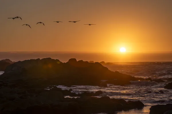 Serenity on California's Coastline thumbnail