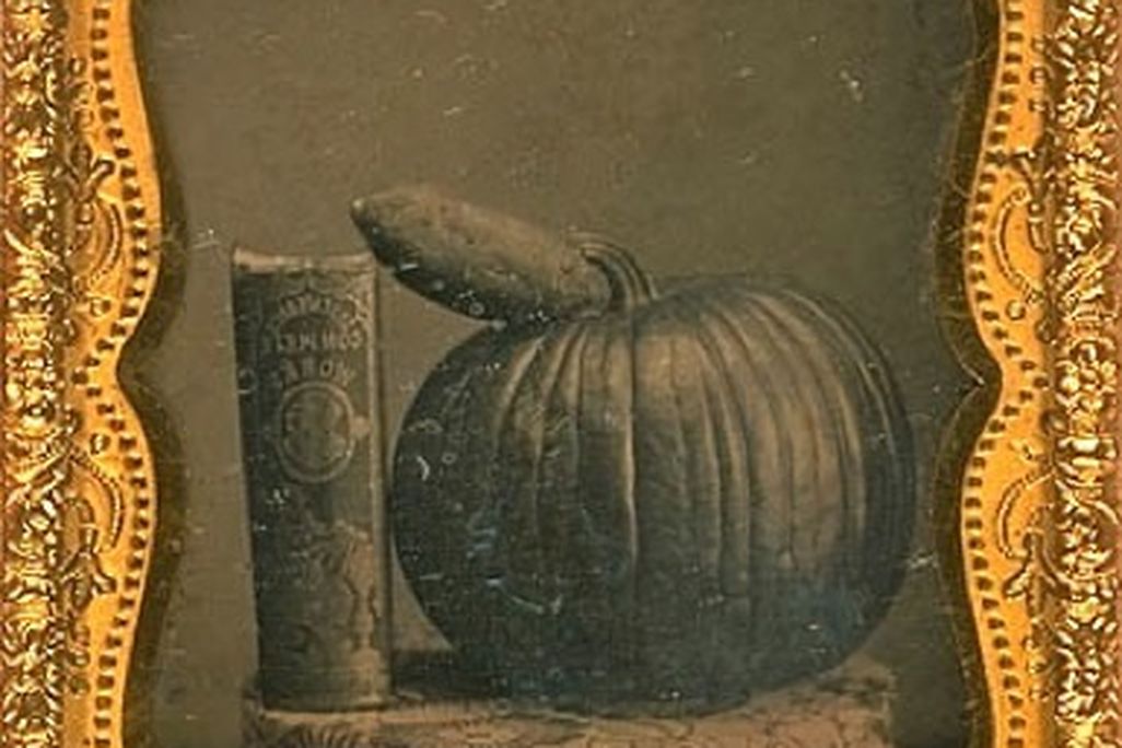 pumpkin_AAM_oct19.jpg