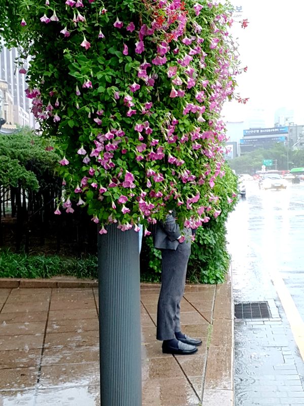 A guy in the rain thumbnail