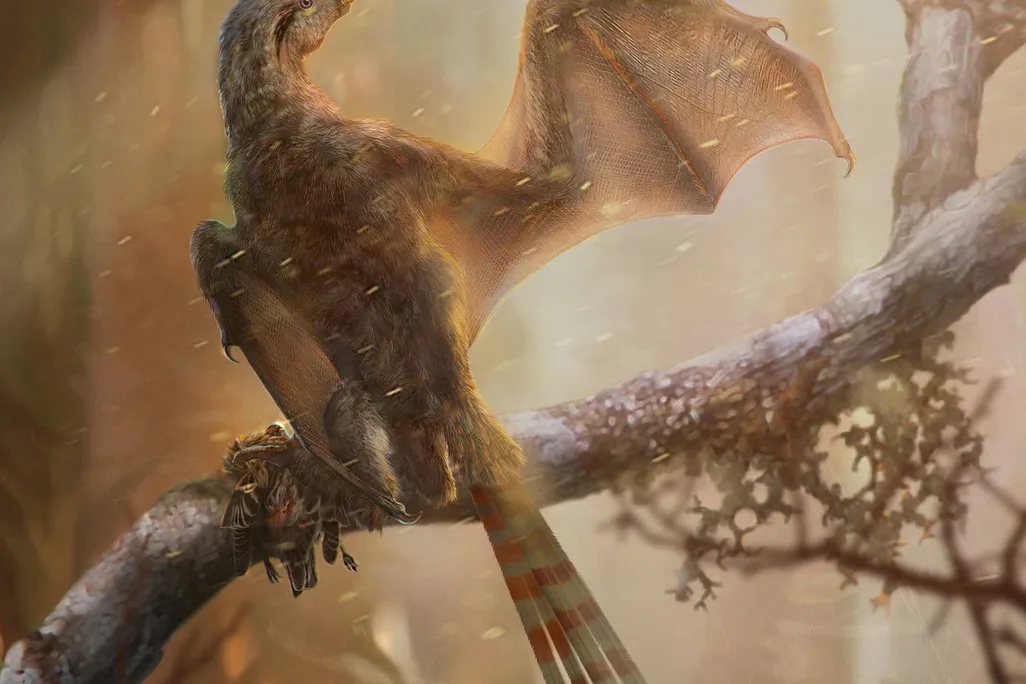 Bat-Like Dino