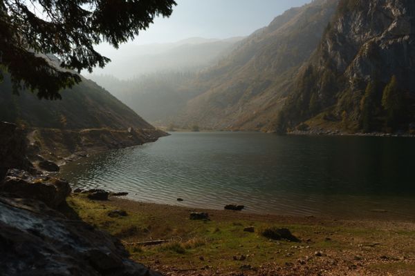 Misty lake thumbnail
