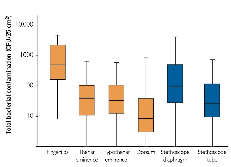 Doctors' Stethoscopes Can Transmit Bacteria As Easily As Unwashed Hands